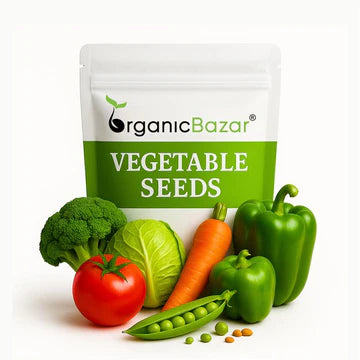 Vegetable Seeds